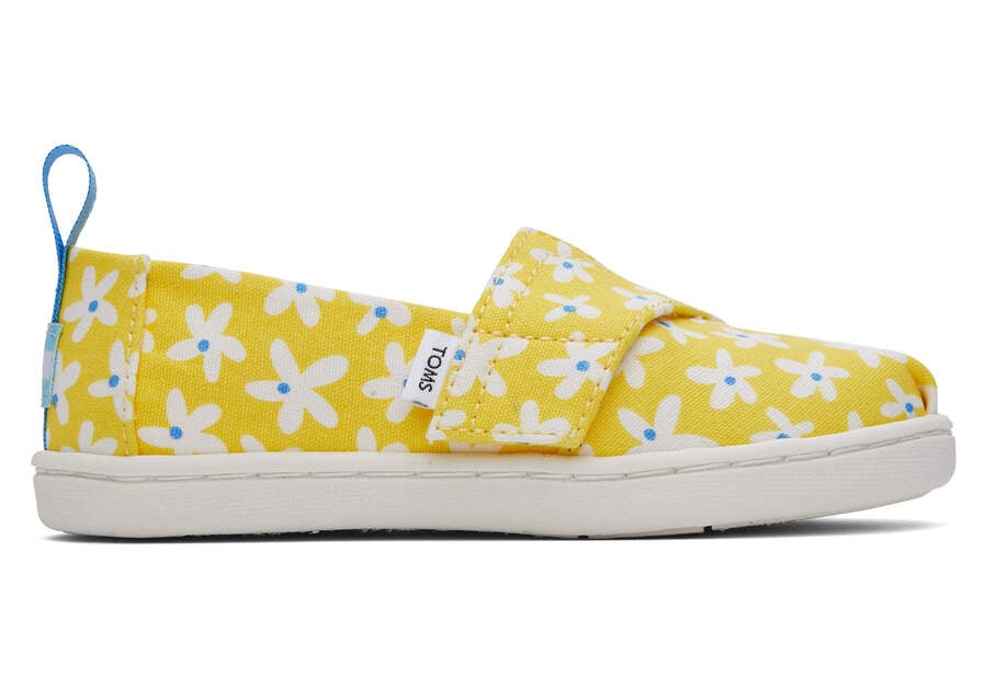 Alpargatas Toms Tiny Alpargata Sun Daisies Niños Amarillo Naranjas Argentina | AR802-463