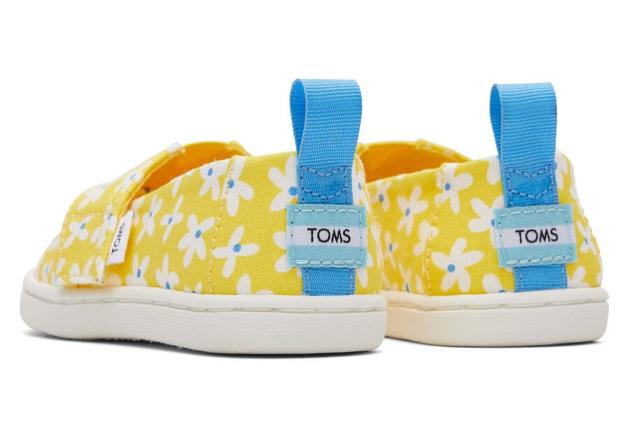 Alpargatas Toms Tiny Alpargata Sun Daisies Niños Amarillo Naranjas Argentina | AR802-463