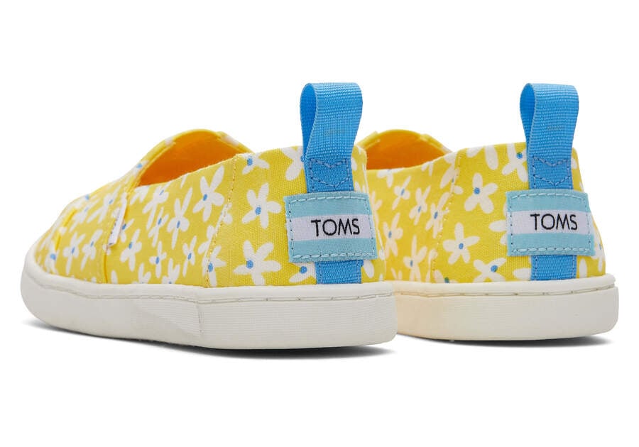 Alpargatas Toms Youth Alpargata Sun Daisies Niños Amarillo Naranjas Argentina | AR435-324