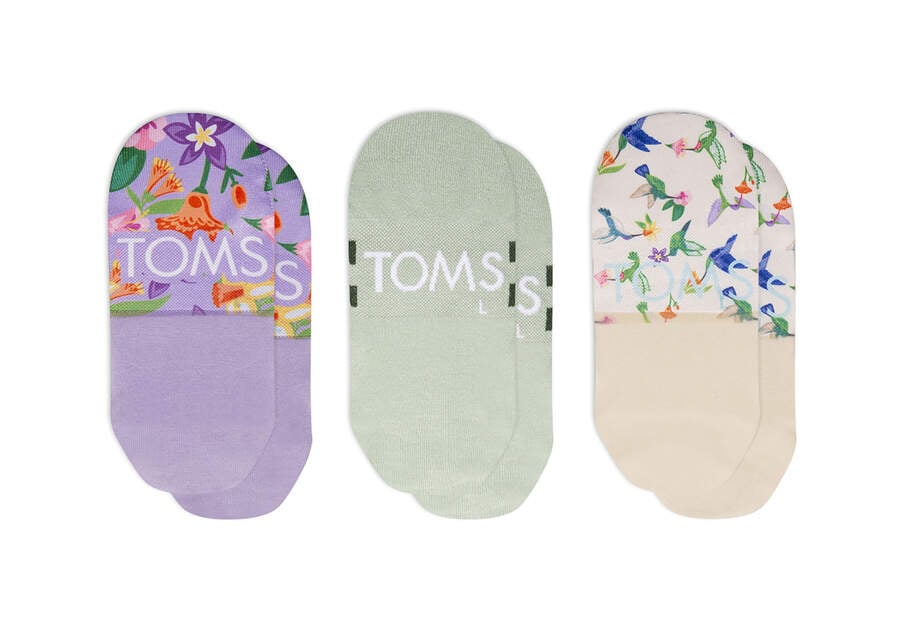 Calcetines Toms Ultimate No Show Socks Hummingbird 3 Pack Mujer Multicolor Argentina | AR062-869