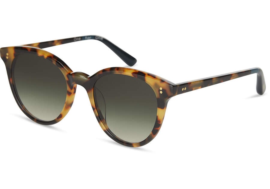 Gafas de Sol Toms Aaryn Mujer Verde Oliva Oscuro Argentina | AR526-478