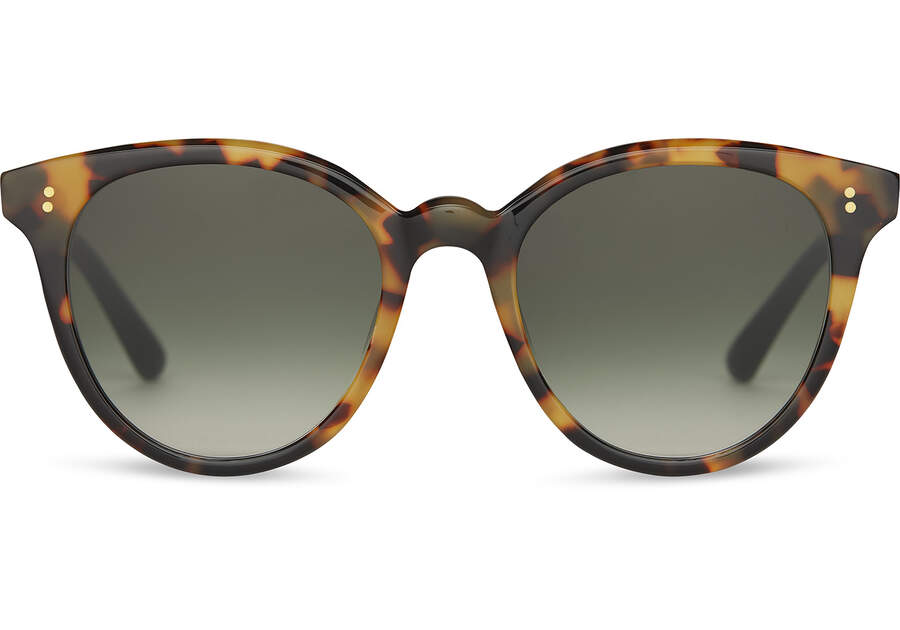 Gafas de Sol Toms Aaryn Mujer Verde Oliva Oscuro Argentina | AR526-478