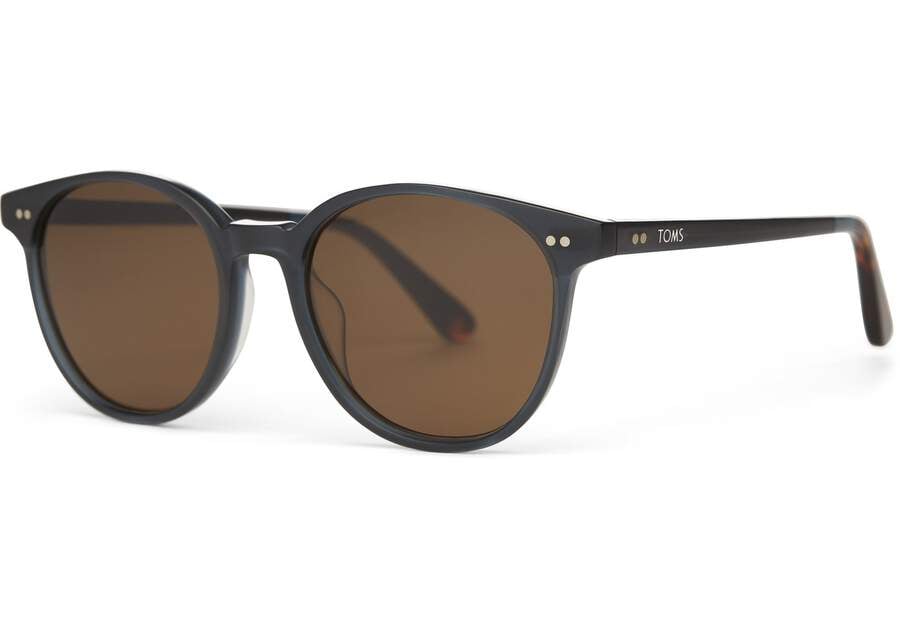 Gafas de Sol Toms Bellini Hombre Negras Turquesa Marrones Argentina | AR833-711