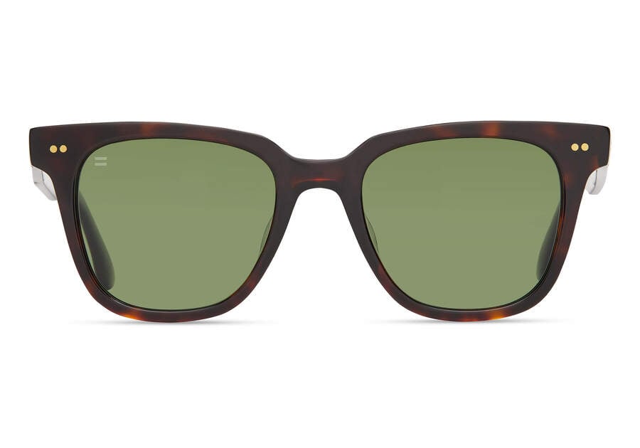 Gafas de Sol Toms Memphis 301 Hombre Verde Oscuro Argentina | AR876-775