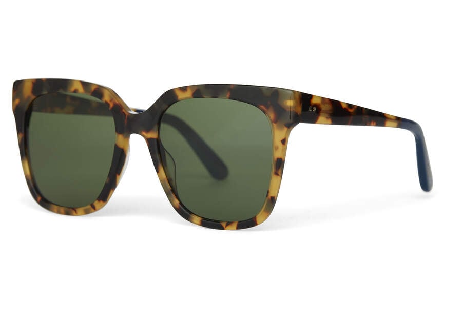 Gafas de Sol Toms Natasha Mujer Verde Argentina | AR568-777