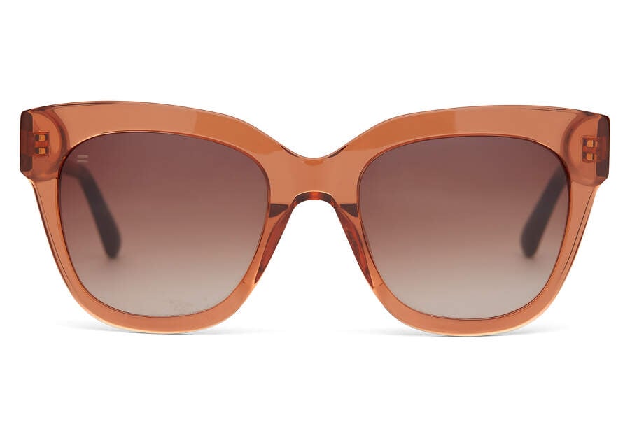 Gafas de Sol Toms Sloane Mujer Marrones Argentina | AR954-805