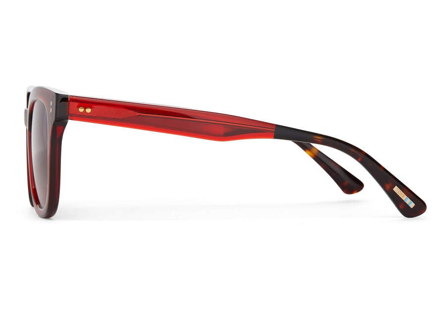 Gafas de Sol Toms Venice Hombre Rojas Marrones Argentina | AR930-367