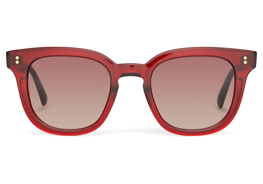 Gafas de Sol Toms Venice Hombre Rojas Marrones Argentina | AR930-367