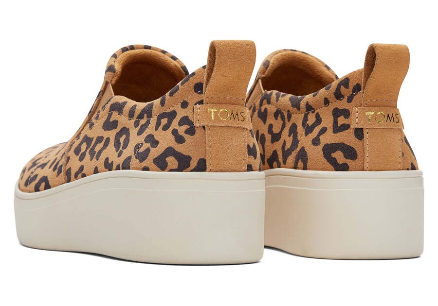 Zapatillas Toms Tristan Slip On Sneaker Mujer Leopardo Argentina | AR250-816