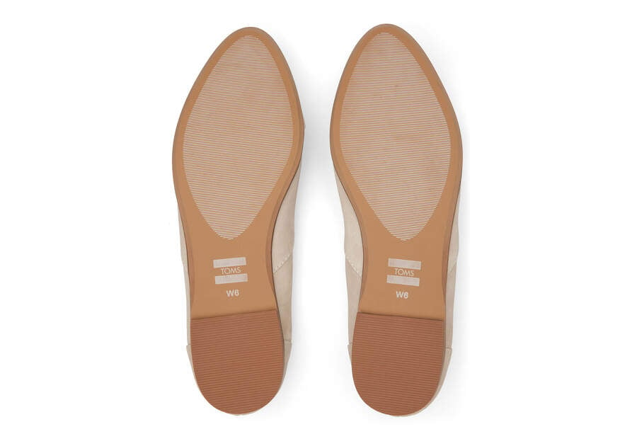 Zapatos Planos Toms Jutti Neat Planos Mujer Marrones Argentina | AR440-003