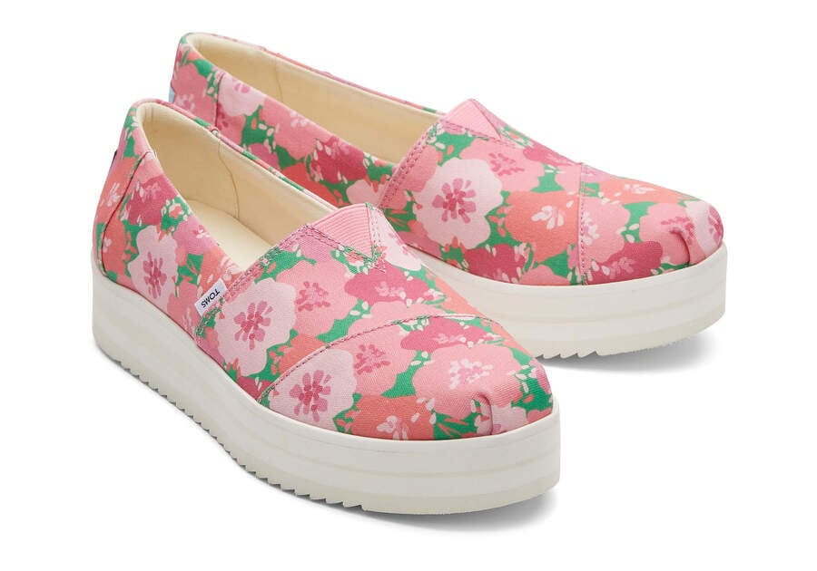 Zapatos Plataforma Toms Alpargata Midform Alpargata Mujer Rosas Argentina | AR099-913