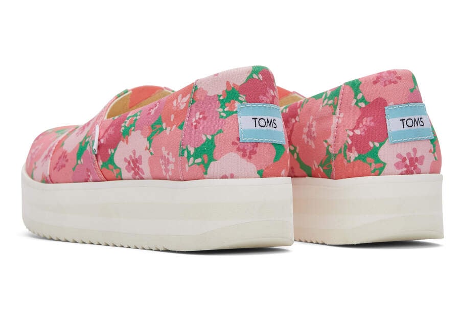 Zapatos Plataforma Toms Alpargata Midform Alpargata Mujer Rosas Argentina | AR099-913