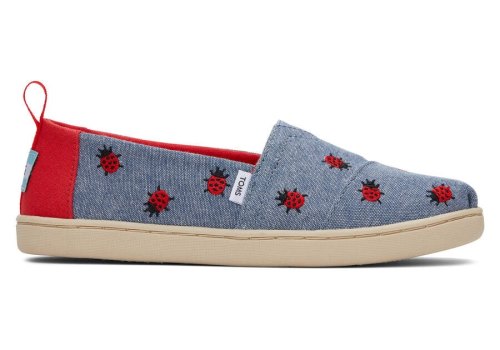 Alpargatas Toms Youth Alpargata Lucky Ladybugs Niños Azules Argentina | AR840-751